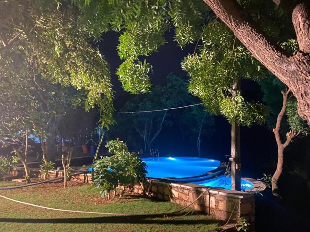 Amaltas Udaipur Exterior foto